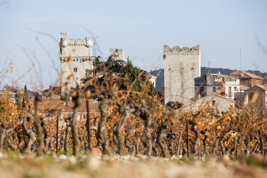 Domaine de la Tour des Chênes